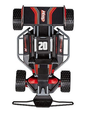 Voiture rc race buggies night panther