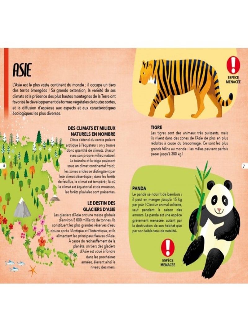Voyage, découvre, explore - les animaux N/A - Kiabi