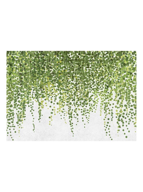 Vue panoramique feuillage verdoyant - Kiabi