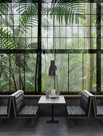 Vue panoramique Rainforest