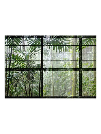 Vue panoramique Rainforest