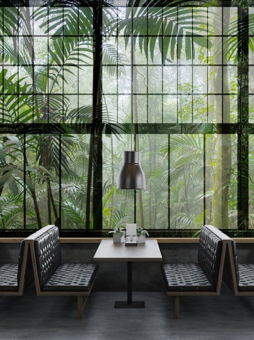 Vue panoramique Rainforest - Kiabi