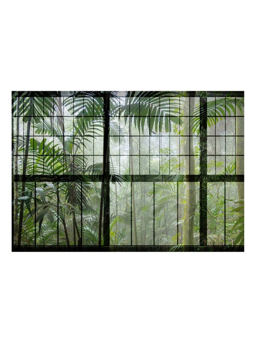 Vue panoramique Rainforest - Kiabi