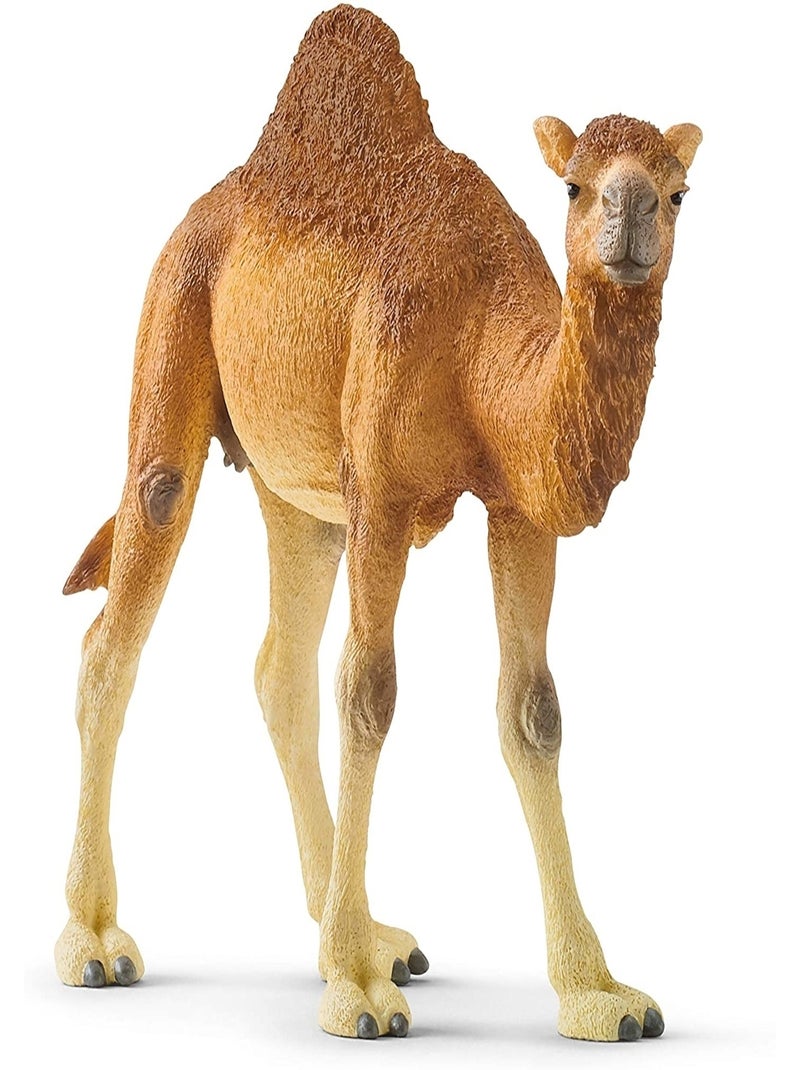 Wild Life - Dromadaire Marron - Kiabi
