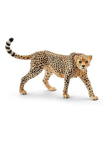 Wild Life - Guépard femelle