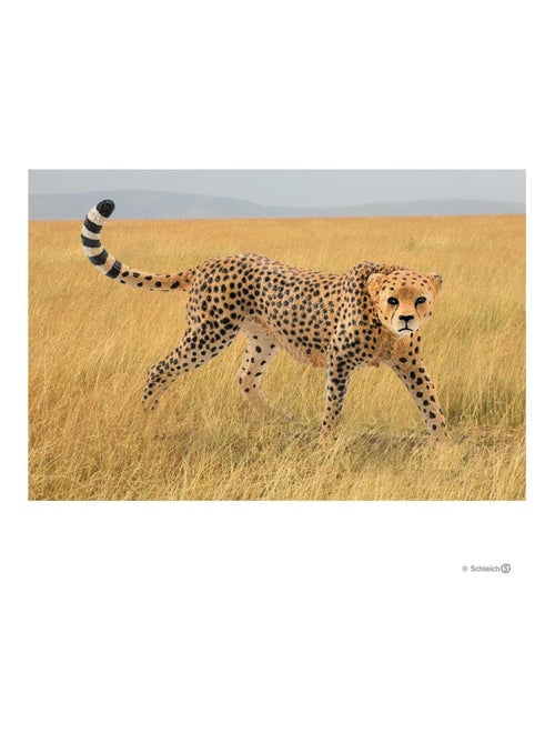 Wild Life - Guépard femelle - Kiabi