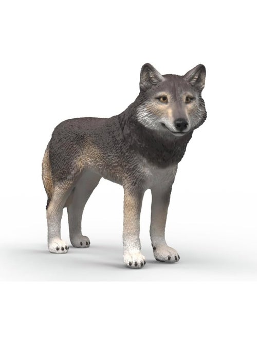 Wild Life - Loup américain - Kiabi