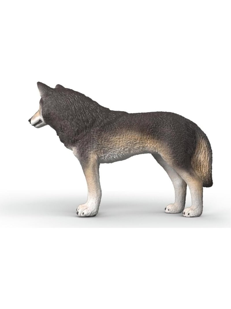 Wild Life - Loup américain Gris - Kiabi