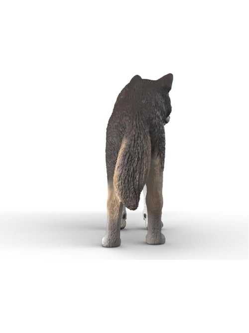 Wild Life - Loup américain - Kiabi