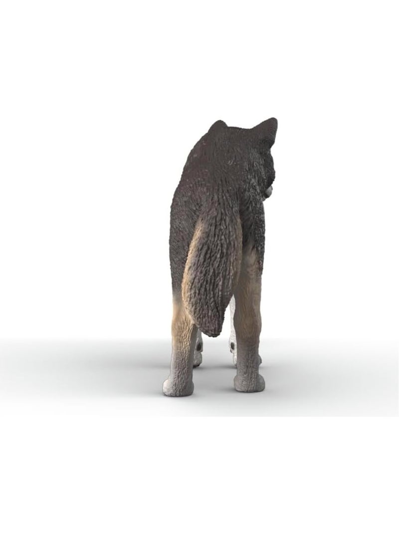 Wild Life - Loup américain Gris - Kiabi