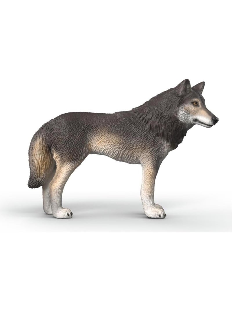 Wild Life - Loup américain Gris - Kiabi