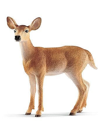 Wild Life Biche de Virginie
