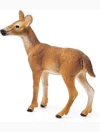 Wild Life Biche de Virginie