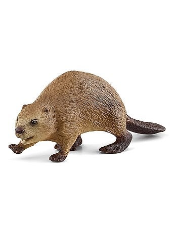 Wild Life Castor