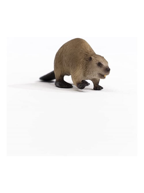 Wild Life Castor - Kiabi