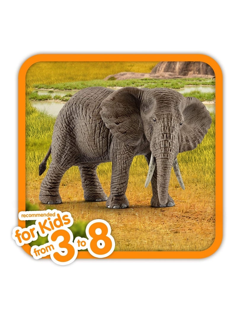 Wild Life Éléphant d'Afrique femelle Marron - Kiabi