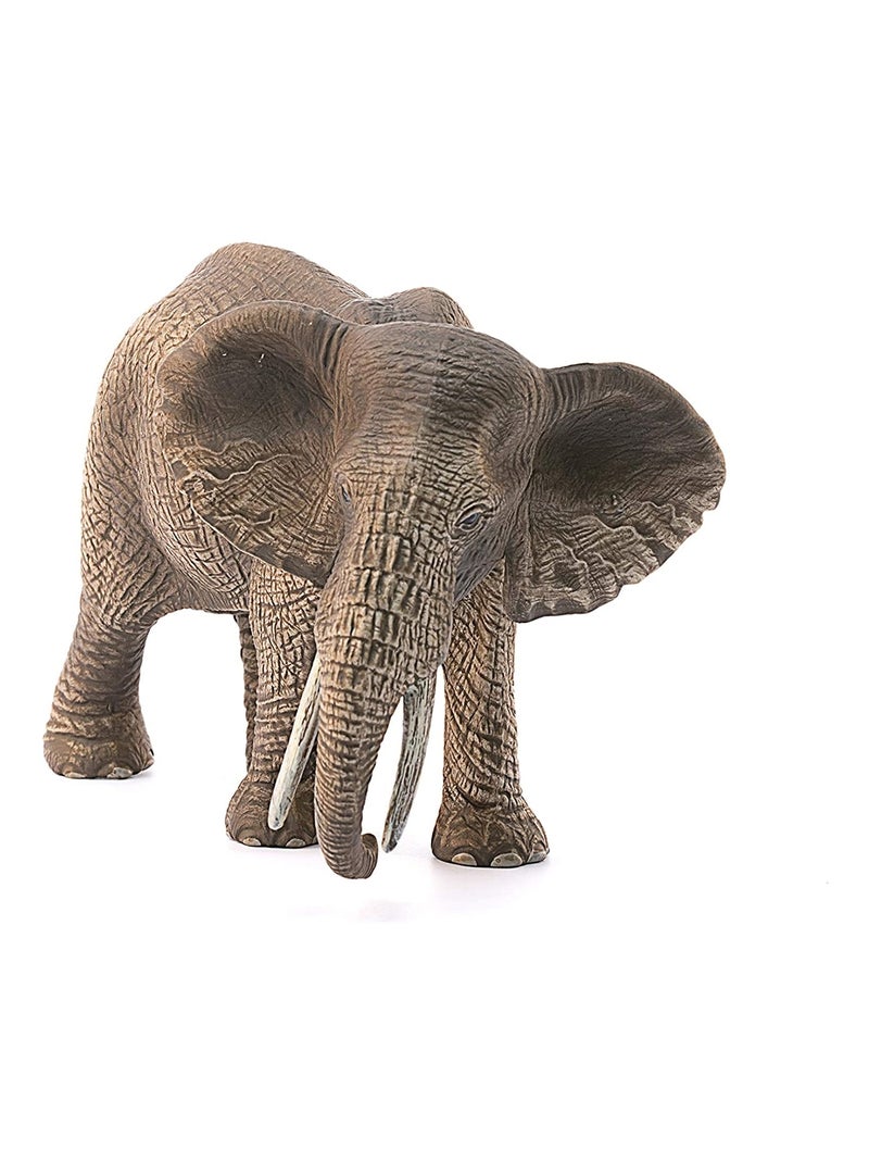 Wild Life Éléphant d'Afrique femelle Marron - Kiabi