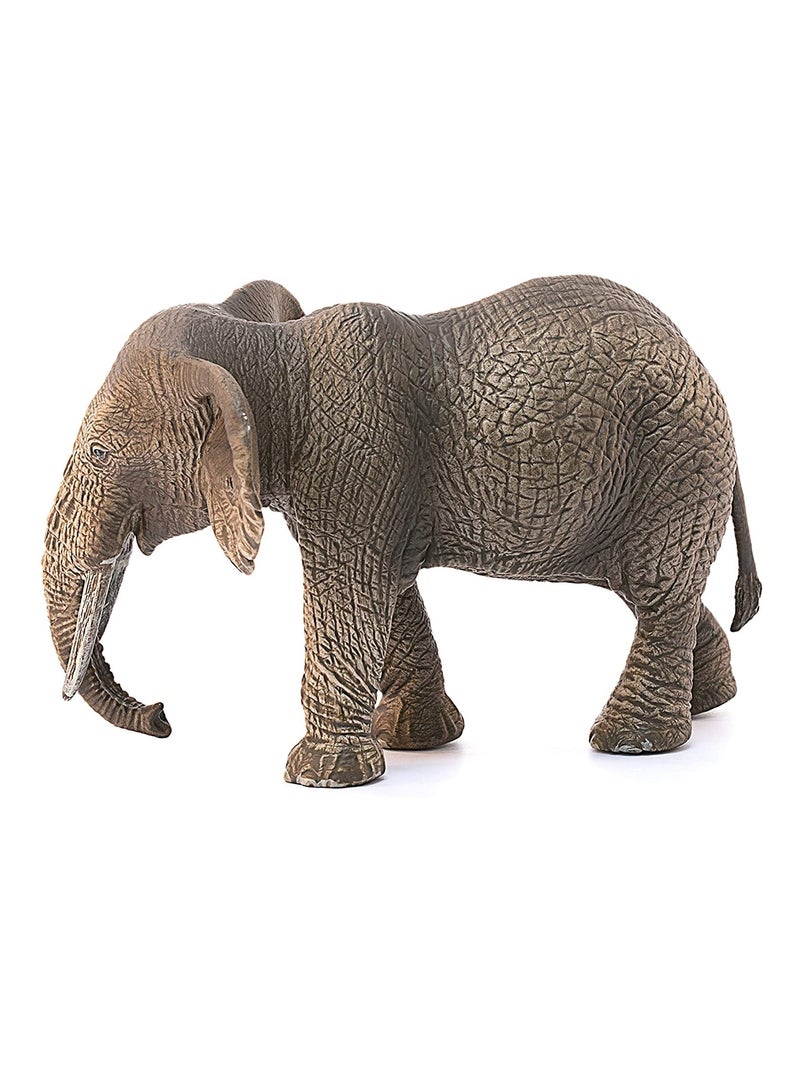 Wild Life Éléphant d'Afrique femelle Marron - Kiabi