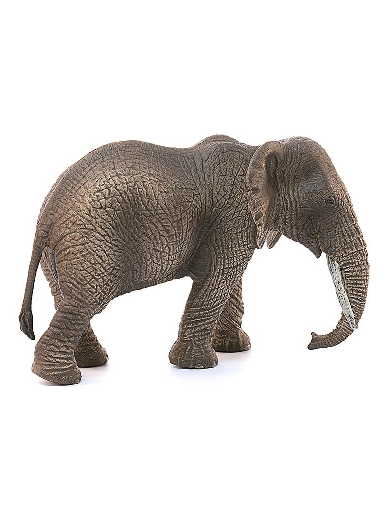 Wild Life Éléphant d'Afrique femelle Marron - Kiabi