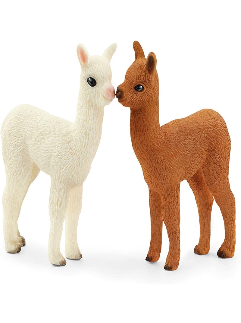 Wild Life Famille d'alpagas Blanc - Kiabi