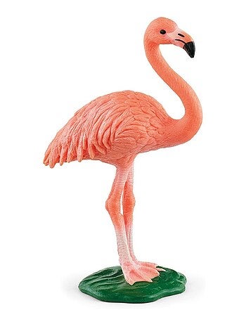 Wild Life Flamant rose