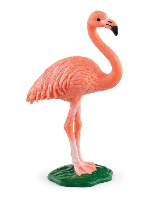 Wild Life Flamant rose - Kiabi