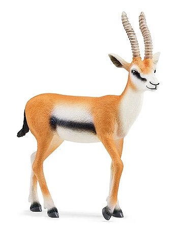 Wild Life Gazelle de Thomson