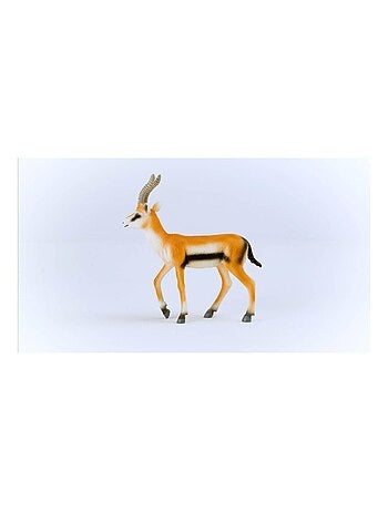 Wild Life Gazelle de Thomson
