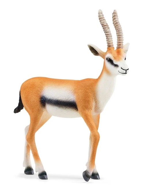 Wild Life Gazelle de Thomson - Kiabi