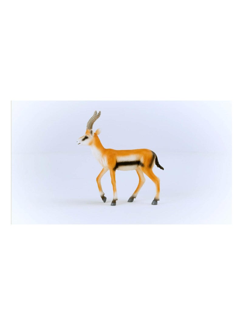 Wild Life Gazelle de Thomson Marron - Kiabi