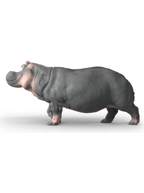 Wild Life Hippopotame - Kiabi