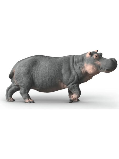 Wild Life Hippopotame - Kiabi