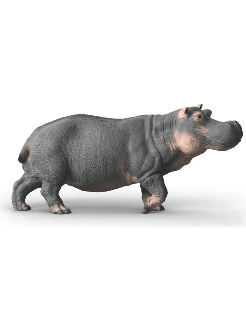 Wild Life Hippopotame Gris - Kiabi