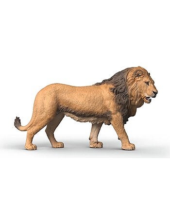 Wild Life Lion d'Afrique