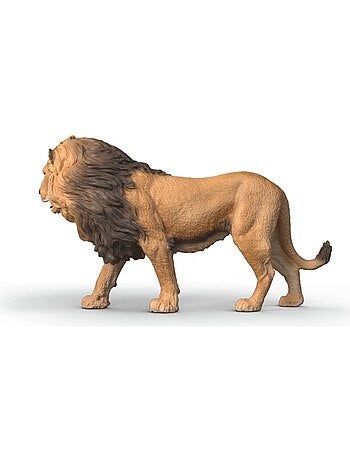 Wild Life Lion d'Afrique