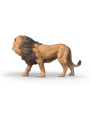 Wild Life Lion d'Afrique