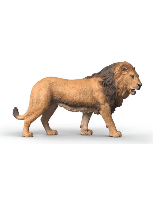 Wild Life Lion d'Afrique - Kiabi