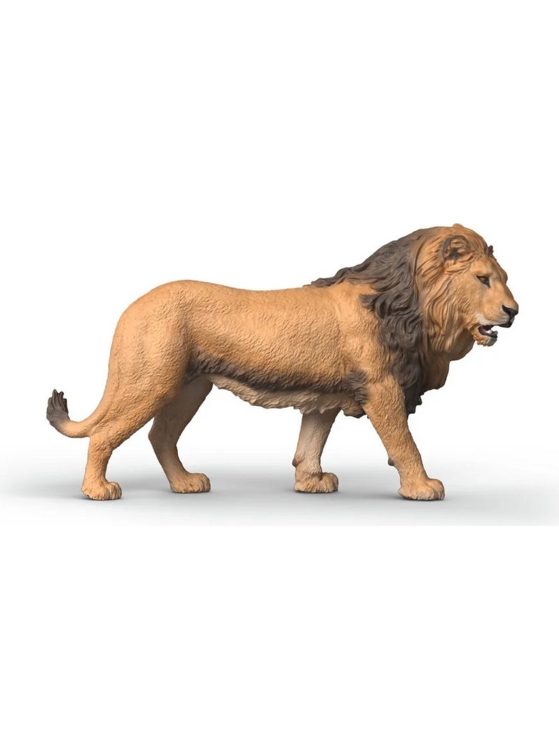 Wild Life Lion d'Afrique Beige - Kiabi