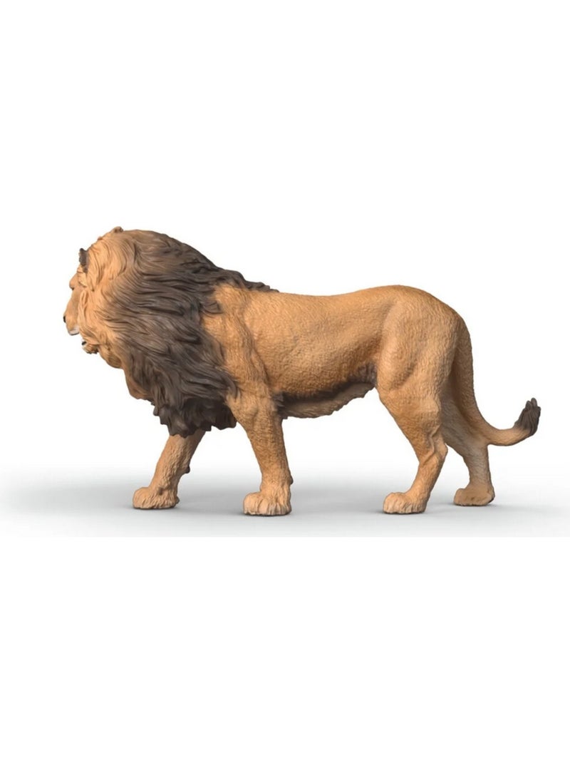 Wild Life Lion d'Afrique Beige - Kiabi
