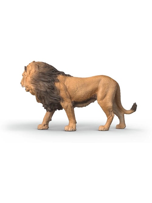 Wild Life Lion d'Afrique - Kiabi