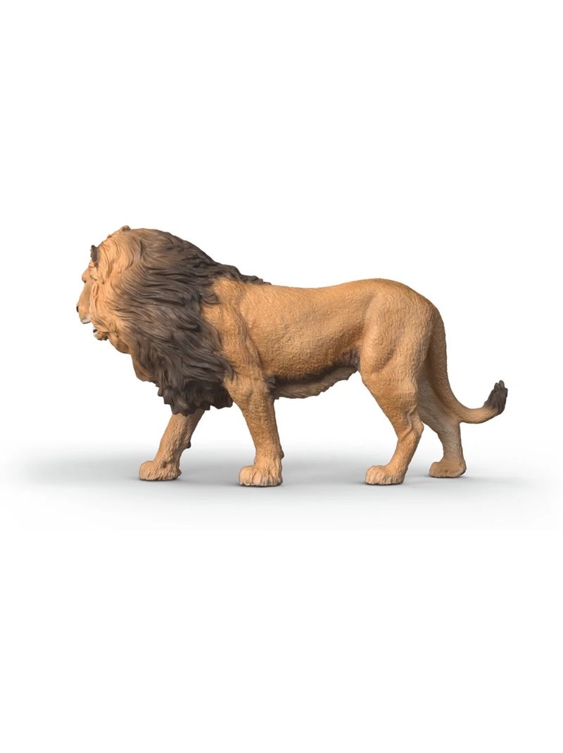 Wild Life Lion d'Afrique Beige - Kiabi
