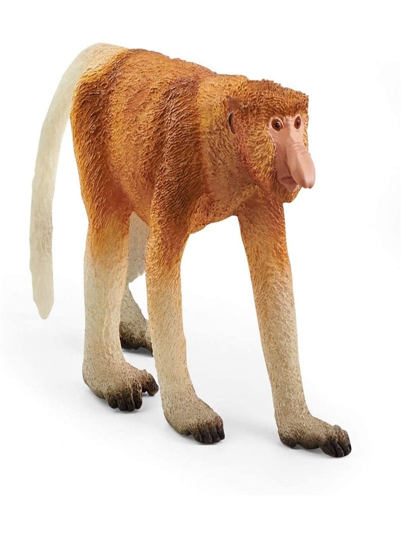 Wild Life Nasique Marron - Kiabi