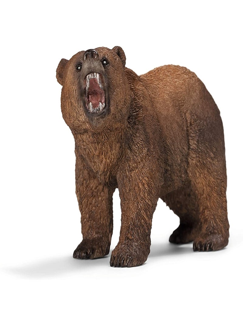 Wild Life Ours Grizzly Multicolore - Kiabi