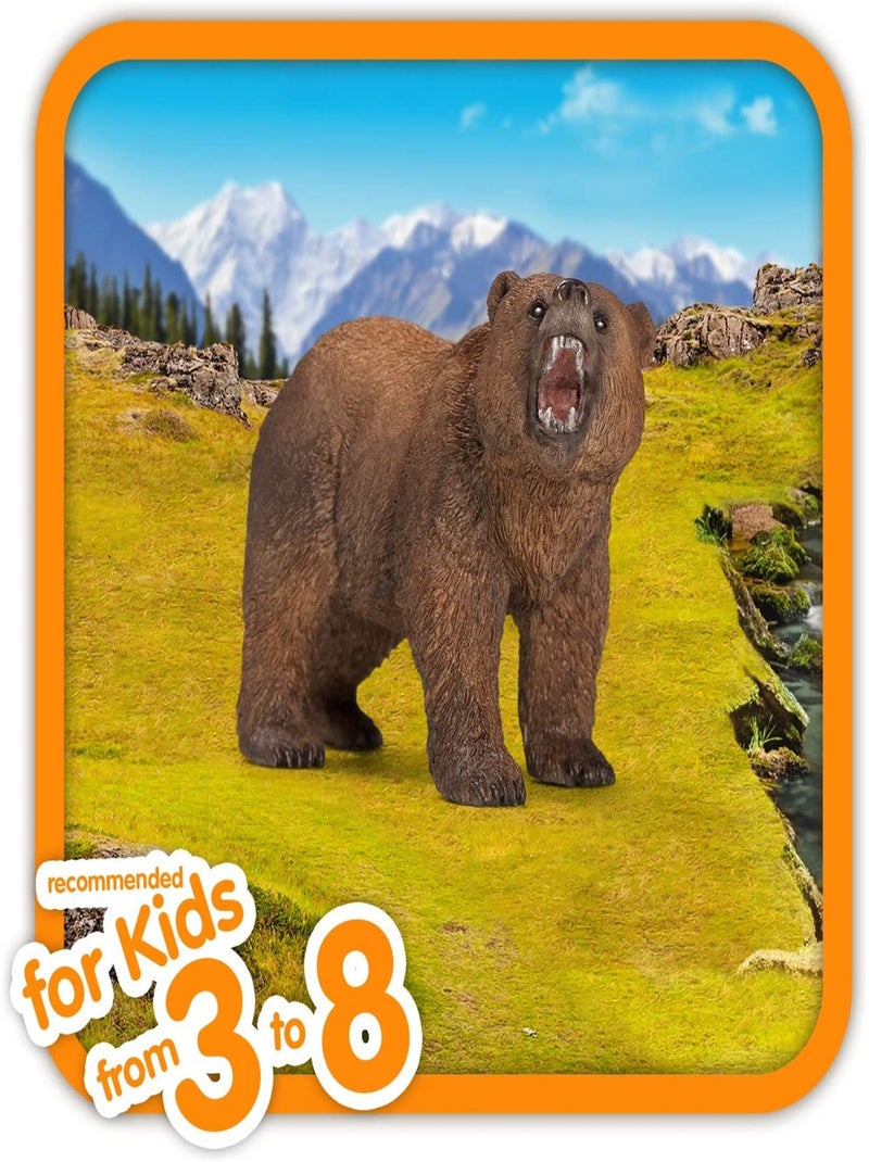 Wild Life Ours Grizzly Multicolore - Kiabi