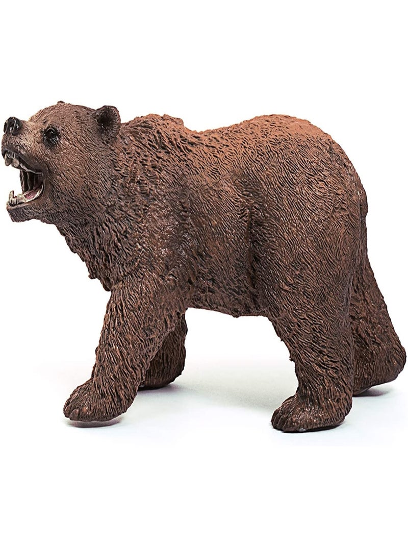 Wild Life Ours Grizzly Multicolore - Kiabi