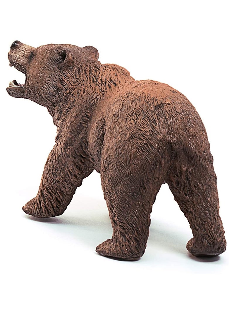 Wild Life Ours Grizzly Multicolore - Kiabi