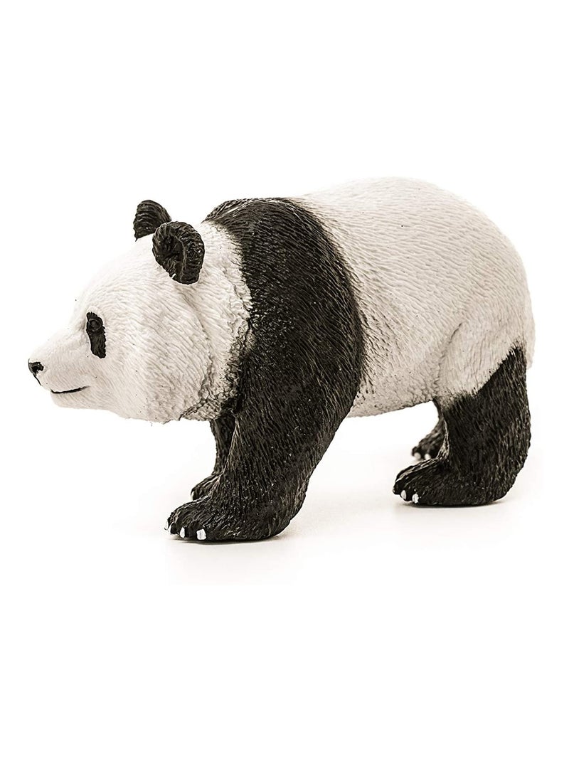 Wild Life Panda géant mâle Noir - Kiabi