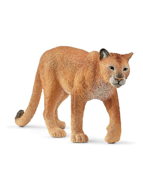 Wild Life Puma - Kiabi
