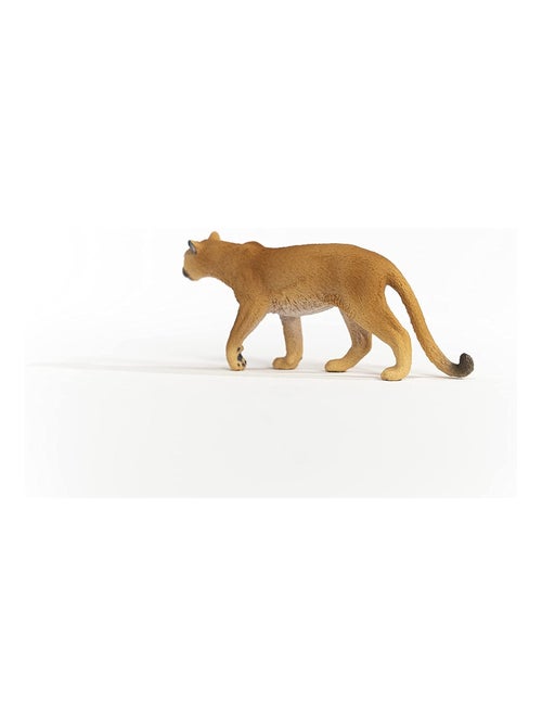 Wild Life Puma - Kiabi