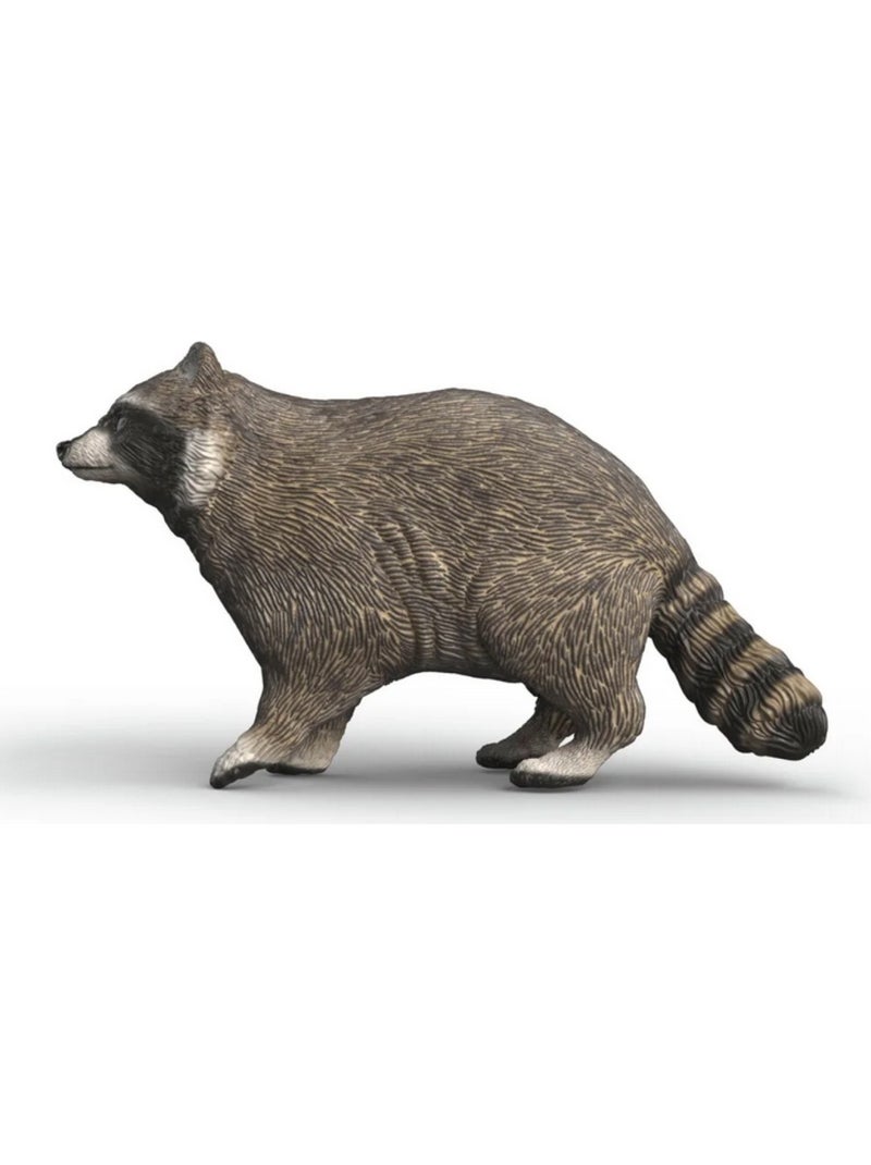 Wild Life Raton laveur Gris - Kiabi